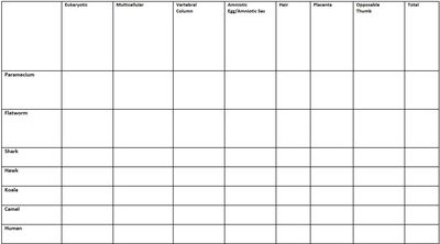 Character table for constructing a cladogram