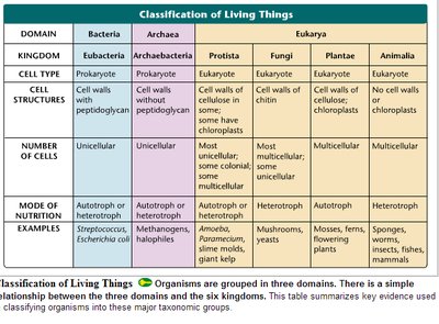 Classification of Living Things table