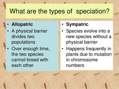 Types of speciation: allopatric and sympatric