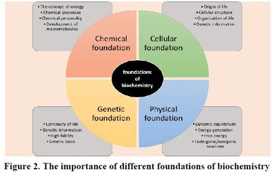 Foundations of biochemistry: chemical, cellular, physical, genetic