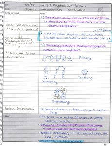 Handwritten notes on protein structure and denaturation