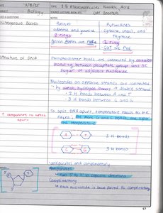 Handwritten notes on nucleic acid structure and hydrogen bonds
