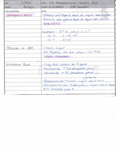 Handwritten notes on Chargaff's rule and nitrogenous bases