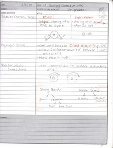 Handwritten notes on covalent bonds and hydrogen bonds