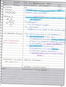 Handwritten notes on steroids and membrane fluidity