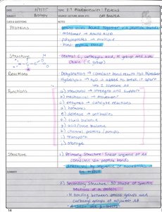 Handwritten notes on proteins