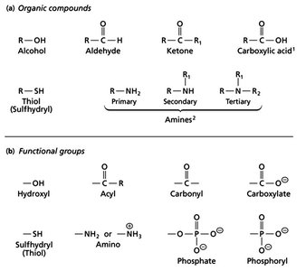Common organic compounds and functional groups