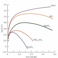 Solubility of carboxy-hemoglobin at its isoelectric point