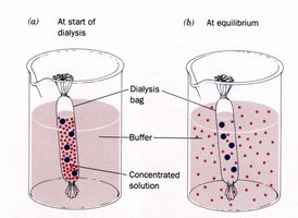 Dialysis process diagram