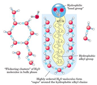 Hydrophobic effect and micelle formation