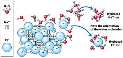 Dissolution of NaCl in water and hydration shells