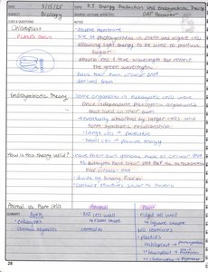 Mitochondria diagram