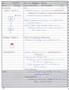 Membrane protein classes diagram