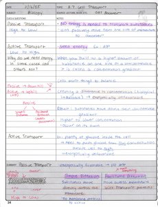 Gap junctions diagram