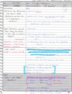 Microtubule and motor protein diagram