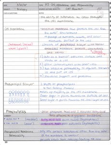 Phospholipid bilayer diagram