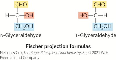 Ball-and-stick models and Fischer projections of D- and L-glyceraldehyde