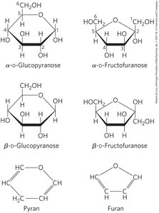 Haworth perspective formulas