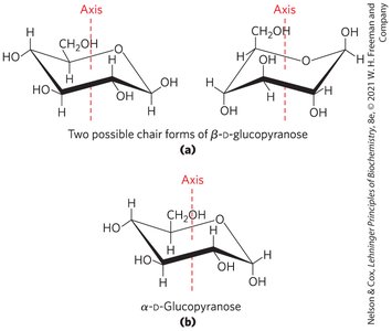 Hexose derivatives