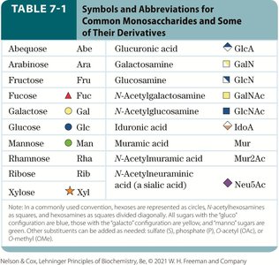 Symbols and abbreviations for common monosaccharides