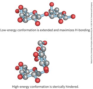 Amylose (starch) and its helical structure