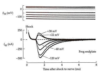Desensitization and recovery of LGICs