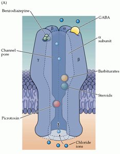 GABA_A receptor pharmacology