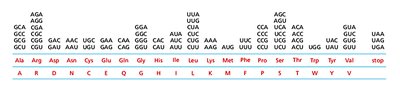 Genetic code table