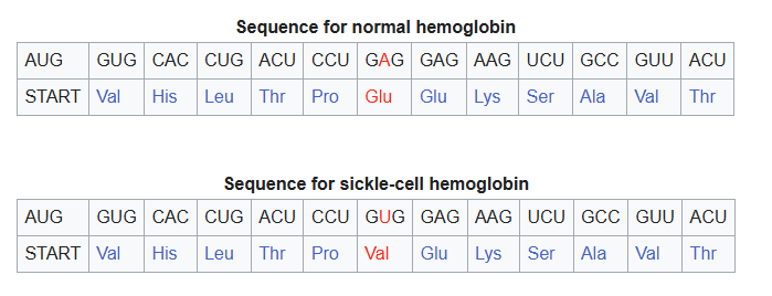 Normal vs sickle-cell hemoglobin sequence