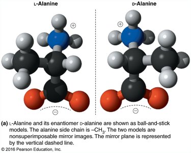L- and D-serine as mirror images
