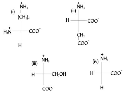 Exercise: Assigning configuration to amino acids