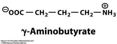 Structure of γ-aminobutyrate