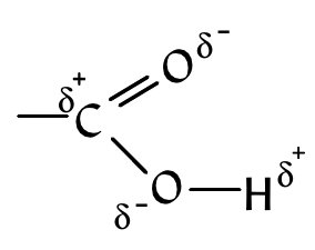 Resonance in carboxylic acid group