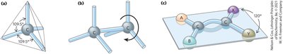 Geometry of carbon bonding: tetrahedral and planar