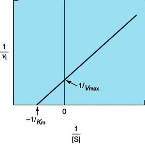 Michaelis-Menten and Lineweaver-Burk plots