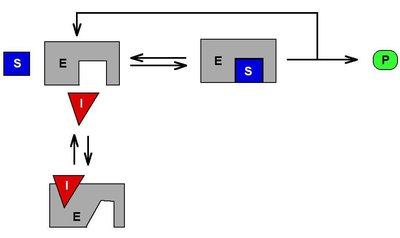 Competitive inhibition mechanism