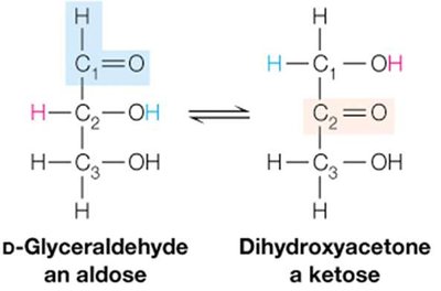 D-Glyceraldehyde (aldose) and Dihydroxyacetone (ketose)