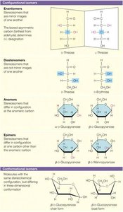 Configurational isomers: enantiomers, diastereomers, anomers, epimers, conformational isomers