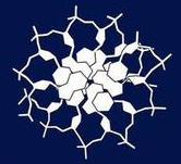 Heme group structure