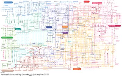 Mapa de rutas metabólicas KEGG