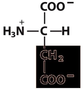 Structure of aspartate (negatively charged R group)