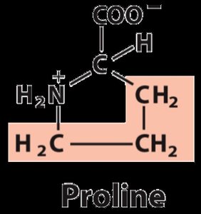 β-sheet structure and properties