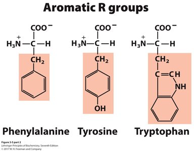 Aromatic R groups