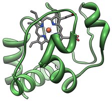 3D structure of cytochrome c