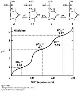 Titration curve of histidine