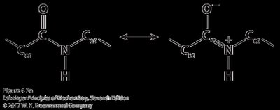 Backbone geometry and rotation