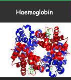 Hemoglobin structure
