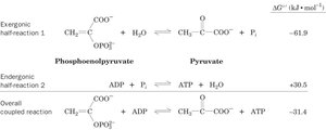 Example of reaction coupling