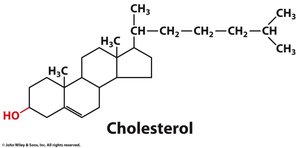 Structure of cholesterol