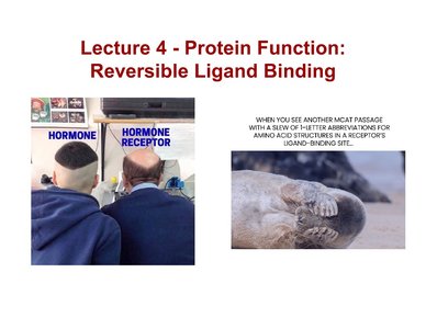 Hormone and receptor analogy